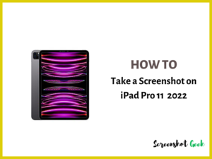 How to Take a Screenshot on iPad Pro 11 2022