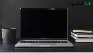 Laptop black screen problem with the power light still on
