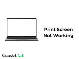 Print Screen not working on Windows 11