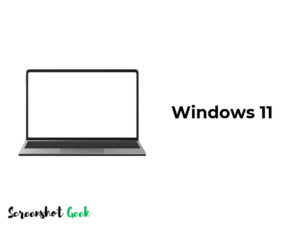 How to Screenshot on Windows 11